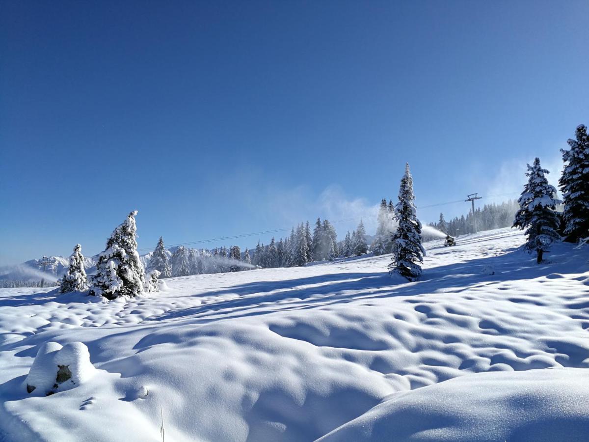 Falkensteinalm Hochkrimml Villa Dış mekan fotoğraf
